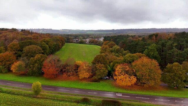 Drone footage of cars driving on a road passing through colorful woods in autumn Oxted, England