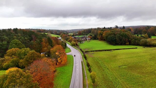 High drone footage of cars driving on a road adjacting a colorful woods in Oxted, Surrey, England