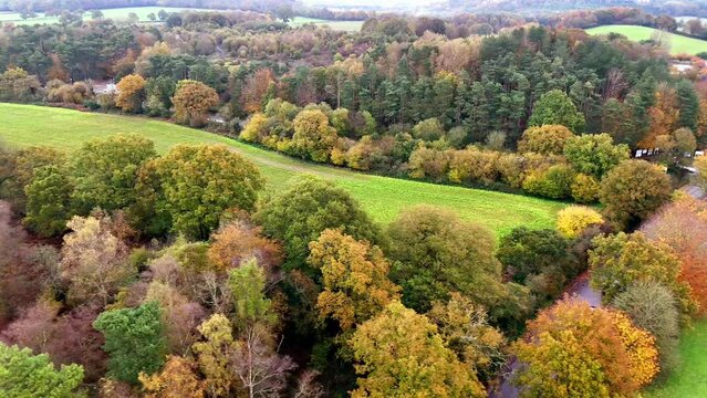 High drone footage of cars driving on a road adjacting a colorful woods in Oxted, Surrey, England