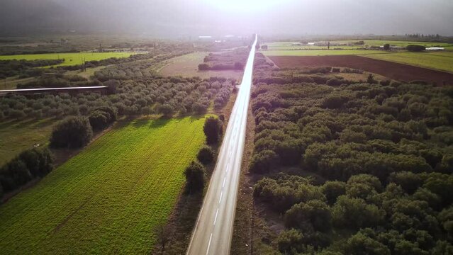 Ascending drone footage of a road passing through cultivated fields at sunset in Tithorea, Greece