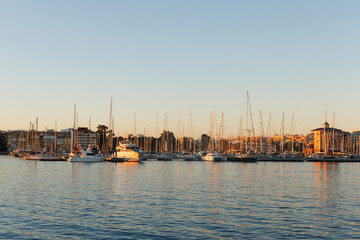 Sailboats and motorboats are standing against the backdrop of the city of Torrevieja at sunset.