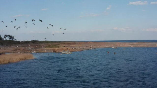 Drone flight over river and beach with waterbirds at sunset Miyazaki Japan