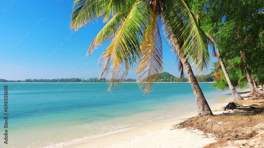 Wall mural beach and coconut palm trees. prachuap khiri khan, thailand
