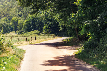 Obraz premium Asphalt road through the summer forest.