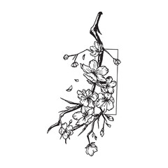 silhouette of a branch of a tree