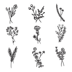 set of black and white flowers