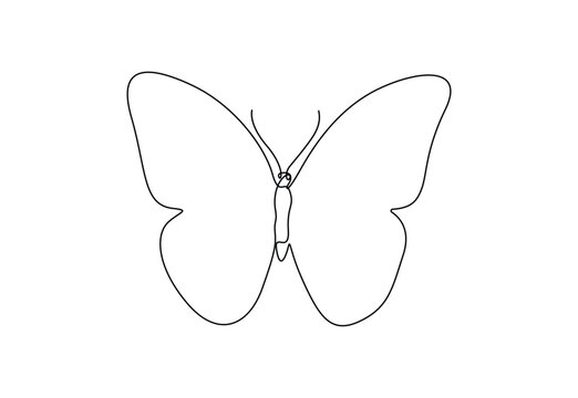 Butterfly Line Drawing Images – Browse 115,268 Stock Photos, Vectors ...