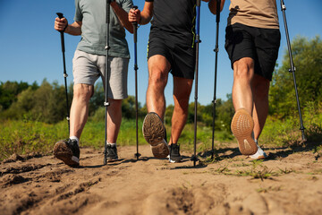 Men practicing Nordic walking with poles outdoors on sunny day, closeup