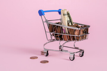 Small metal shopping cart with money on pink background, space for text