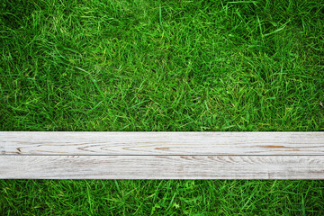 Fresh green grass and white wooden plank outdoors, top view