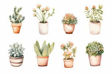 Watercolor from a cute succulent pot plants on white background.