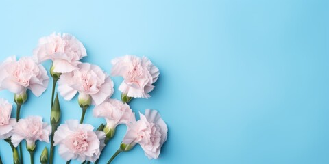 Spring flowers. Bouquet of flowers on pastel blue background. Valentine's Day, Easter, Birthday, Happy Women's Day, Mother's Day. Flat lay, top view, copy space for text