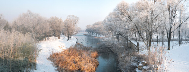 The wetland park is covered with snow in winter