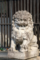 Chinese imperial guardian lion in front of temple