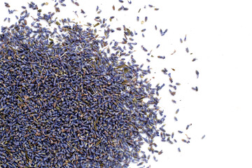 Dried lavender flowers on white background.