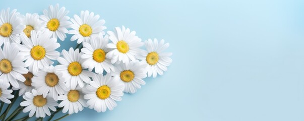 Spring flowers chamomile. Bouquet of flowers on pastel background. Valentine's Day, Easter, Birthday, Happy Women's Day, Mother's Day. Flat lay, top view, copy space for text