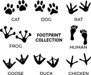 Black silhouette of paw prints of different animals isolated on white. Black footprints shapes of animals cat, dog, rat, frog, goose, duck chicken, human. Vector set footprints