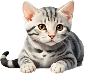 American Shorthair Water color Generative AI
