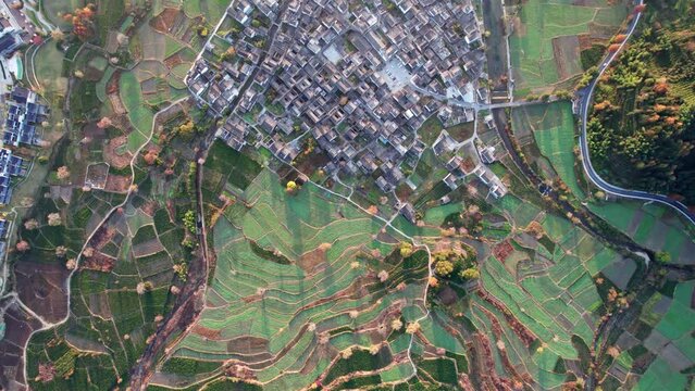 Aerial view of Chinese ancient village, Lucun, Hongcun, Anhui, China. Drone fly view of traditional villages in sunny autumn morning, sunrise time, colorful autumn forest, 4k real time footage.