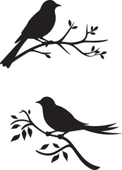 Two Silhouette birds on a tree branch on white background - obrazy, fototapety, plakaty