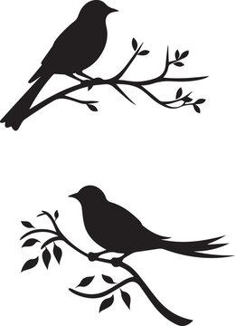 Two Silhouette birds on a tree branch on white background