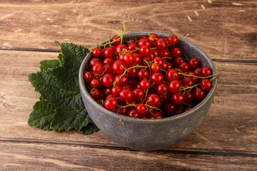 Ripe sweet organic red currant heap