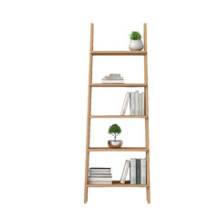 Ladder shelf, PNG image