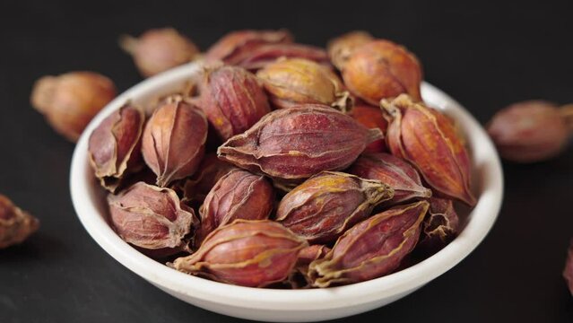 Chinese herb medicine fructus gardeniae on black background.