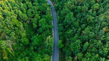 Aerial view of road dark green forest Natural landscape and elevated traffic roads Adventure travel and transportation ideas for the environment