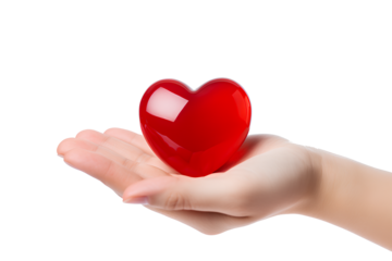 woman hands holding a red heart stone isolate on white background, with the big copy space for valentine's day