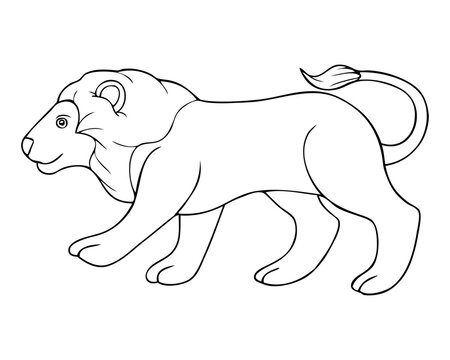 lion line vector illustration