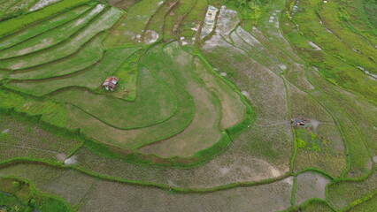 water drops on grass