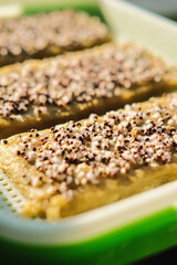 Closeup of  Red Radish microgreen seeds start to sprouting in the microgreen tray using rockwool