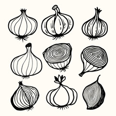 Hand Drawn Doodle Onion Red and Garlic Vector Illustrations