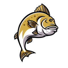 Hand drawn tuna cartoon illustration
Vector Bass fish

