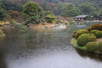 A Japanese garden : a scene of Ritsurin-koen Park in Takamatsu City in Kagawa Prefecture 日本庭園：香川県高松市の栗林公園の風景
