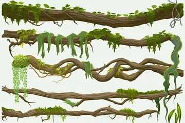Foto op Canvas lianas stems border set rainforest green vines twisted plant hanging branch cartoon jungle creeper branches leaves moss tree isolated game scenery elements © akkash jpg