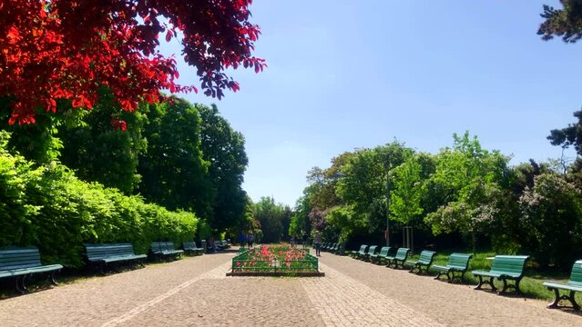 City gardens. Urban park. Riegrovy Sady park. Prague, Czech Republic.