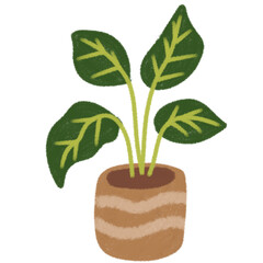 plant in pot