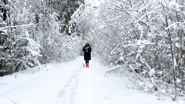 A woman walks in the winter forest with a dog in her arms (the dog’s paws are frozen)