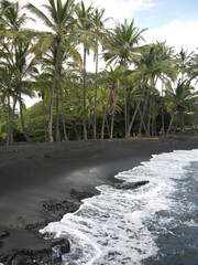 Hawaiian famous Punalu'u black sand Beach on Big Island, Hawaii