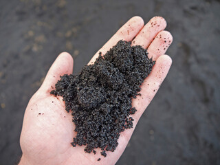 Holding Handful of Hawaiian wet Black sand on the hand