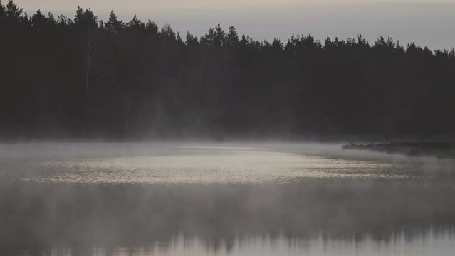 Mist, fog rises from the swamp lake, early in the morning. Cool color mood.
