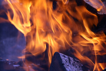 Burning wood in fire flame