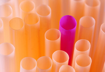 Concept - Dare To be different - violet straw among orange ones