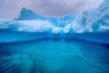 Fototapeten Iceberg, Wilhelmina Bay, Antarctica  © Sunil Singh
