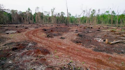 Bird's-eye view of a deforested area, revealing the stark consequences of environmental degradation and loss of natural landscapes.