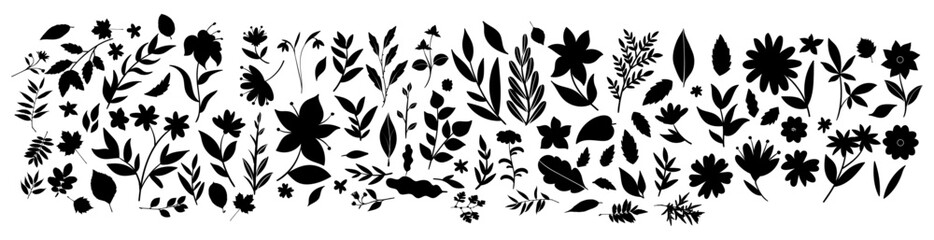 Set of leaves silhouette of beautiful plants, leaves, plant design. Vector illustration