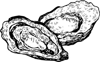 Hand Drawn Sea Animal