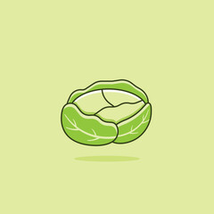 vegetables cabbage illustration